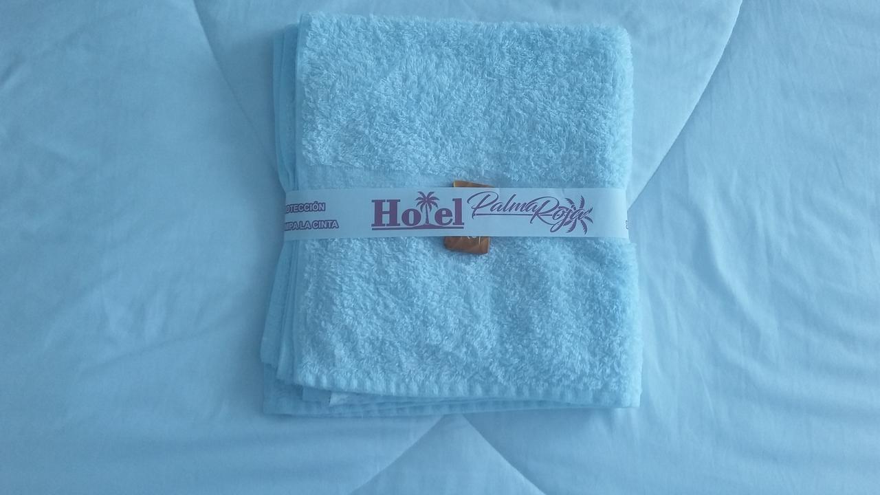 Hotel Palma Roja Granada  Exteriör bild